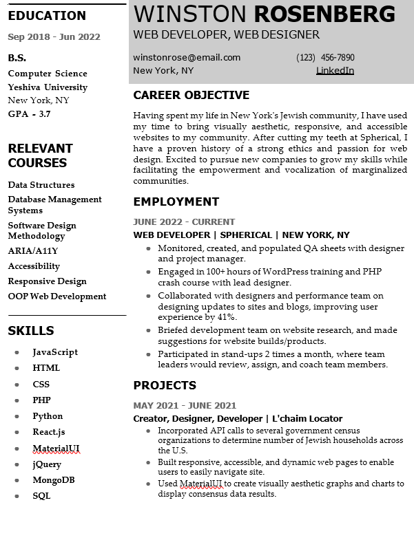 Skilled Web Developer resume