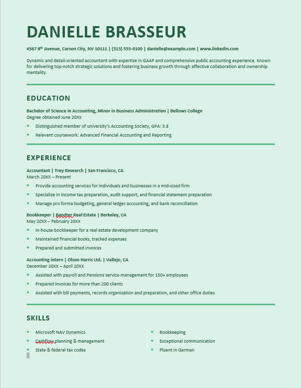 Detail-oriented and dynamic accountant resume