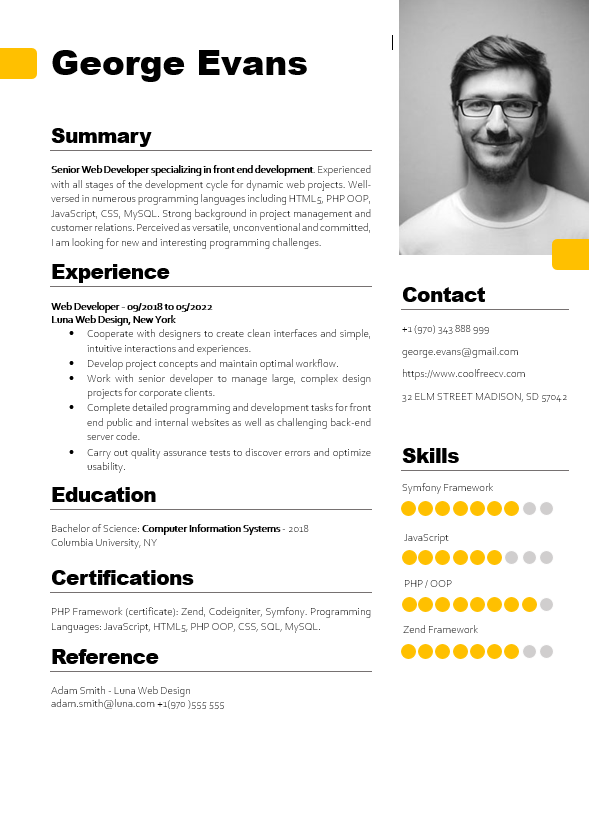 Senior Web Developer experienced CV