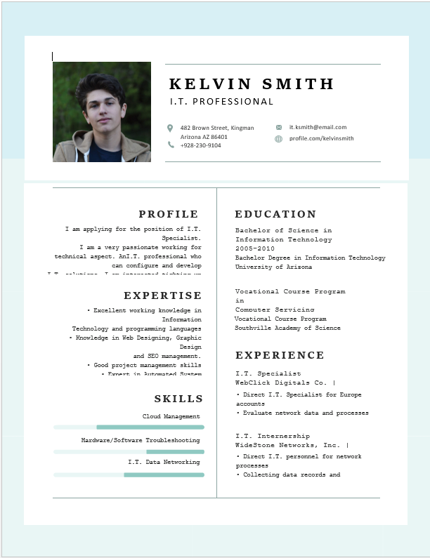 A results-oriented IT professional resume