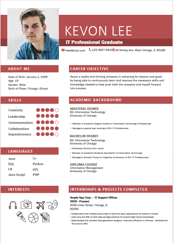 Professional resume for fresher
