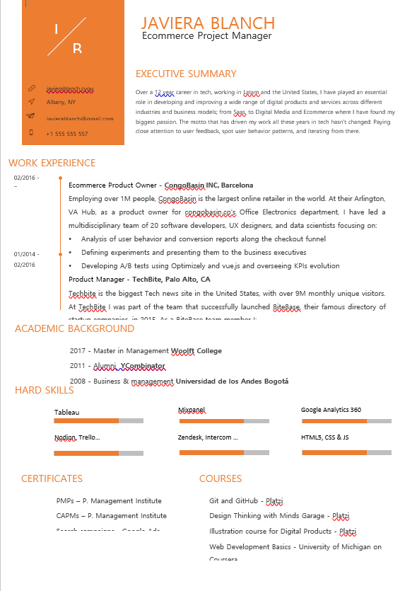 E-commerce Product Owner